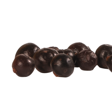 Juniper Berries