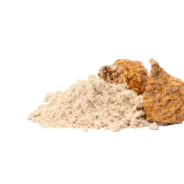 Maca Root Powder