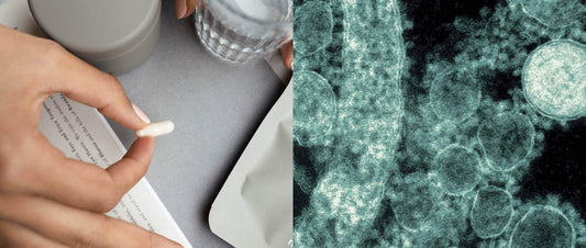 Bakterien und die Sporenbildung