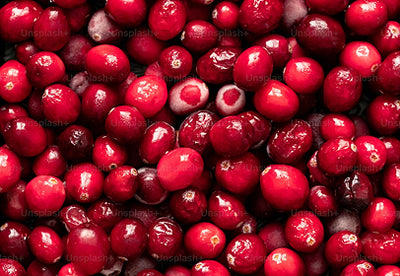 Cranberryextrakt