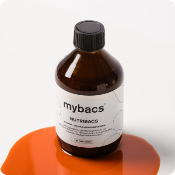 mybacs