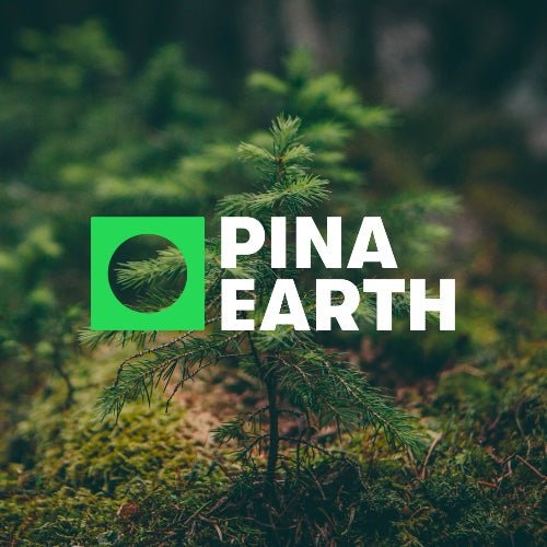 Pina Earth - Klimabeitrag