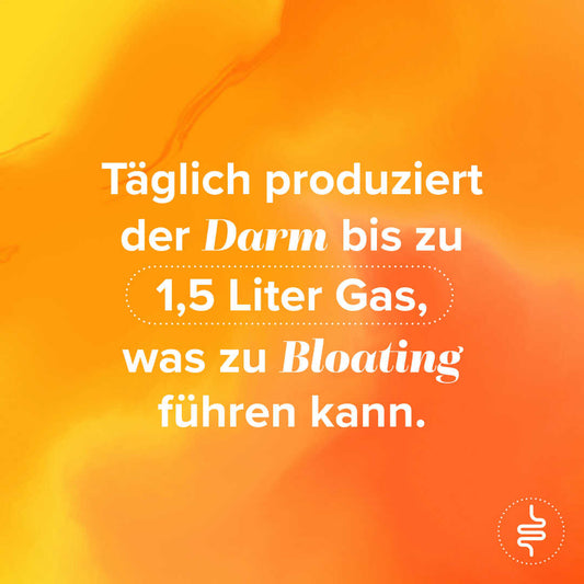 Active Debloat - gegen Blähbauch(Google Ads)